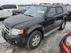 Ford salvage cars for sale: 2010 Ford Escape XLT