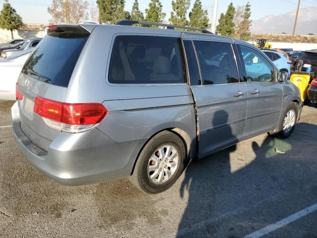 2010 Honda Odyssey EXL