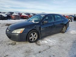 Salvage cars for sale at Helena, MT auction: 2005 Honda Accord EX