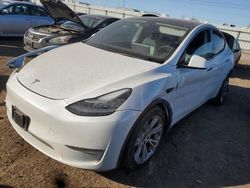 Salvage cars for sale at Elgin, IL auction: 2022 Tesla Model Y