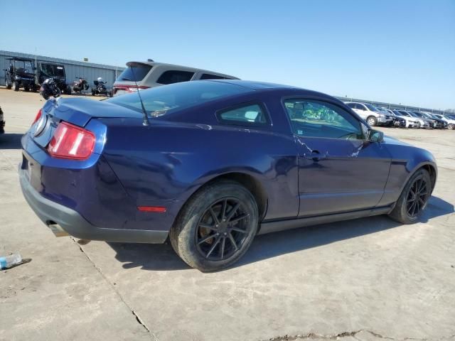 2010 Ford Mustang