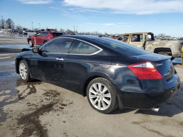 2010 Honda Accord EXL