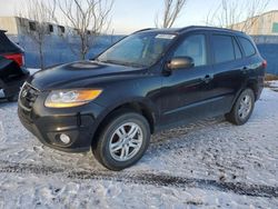 Hyundai salvage cars for sale: 2010 Hyundai Santa FE GLS