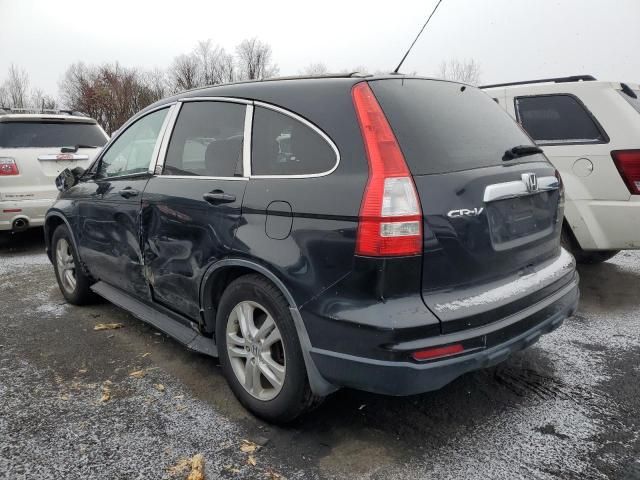 2010 Honda CR-V EXL