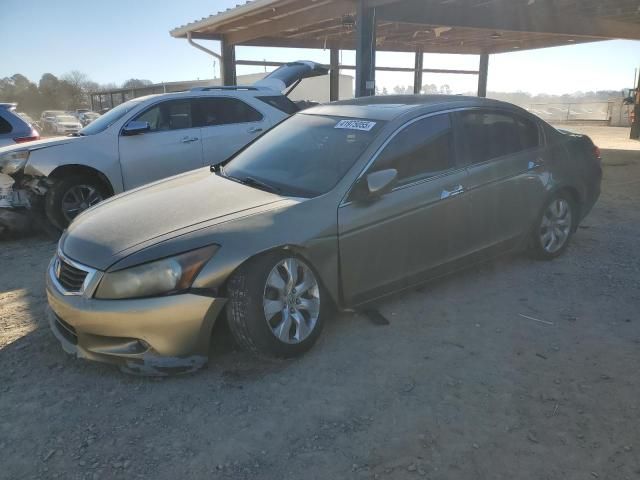 2010 Honda Accord EXL