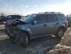 Salvage cars for sale at Hillsborough, NJ auction: 2011 Ford Escape XLT