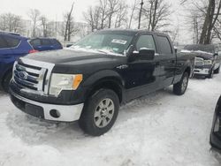 Salvage cars for sale at Central Square, NY auction: 2010 Ford F150 Supercrew