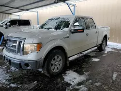 Salvage trucks for sale at Brighton, CO auction: 2010 Ford F150 Supercrew