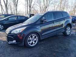 Salvage cars for sale at Cicero, IN auction: 2014 Ford Escape Titanium