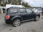 2010 Ford Escape Limited