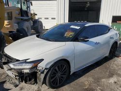 Salvage cars for sale at auction: 2019 Nissan Maxima S