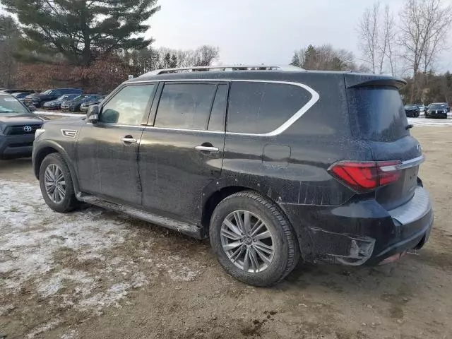 2023 Infiniti QX80 Luxe