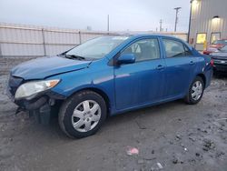 Toyota Vehiculos salvage en venta: 2010 Toyota Corolla Base