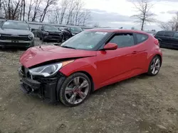 2013 Hyundai Veloster en venta en Windsor, NJ