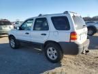 2005 Ford Escape XLT