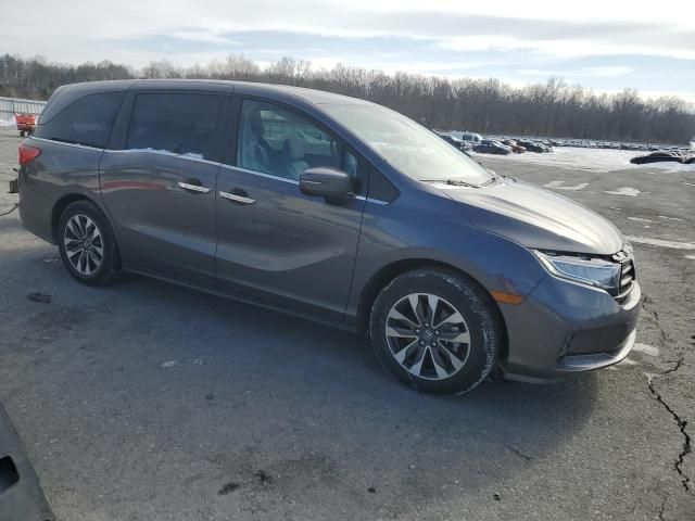 2024 Honda Odyssey EXL