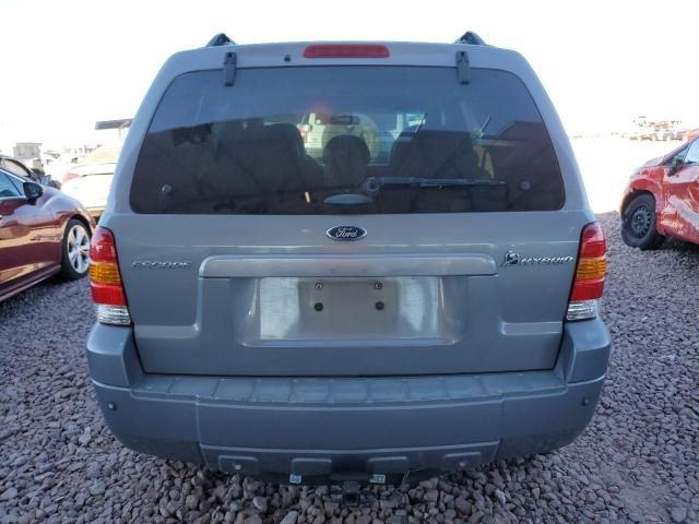 2007 Ford Escape HEV