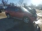 2010 Ford Escape Limited