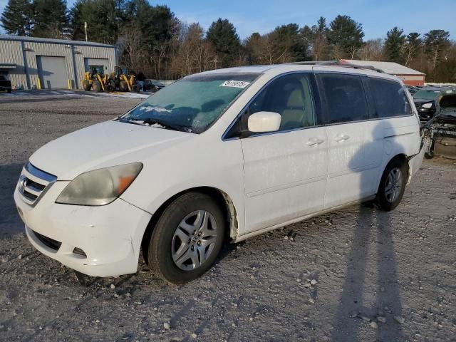 2005 Honda Odyssey EXL