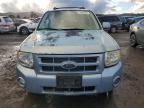 2008 Ford Escape HEV