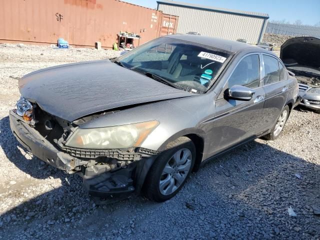 2008 Honda Accord EXL