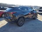 2024 Lexus NX 350H Base