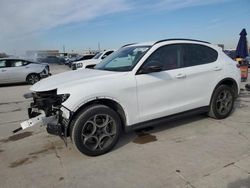 Alfa Romeo salvage cars for sale: 2021 Alfa Romeo Stelvio Sport