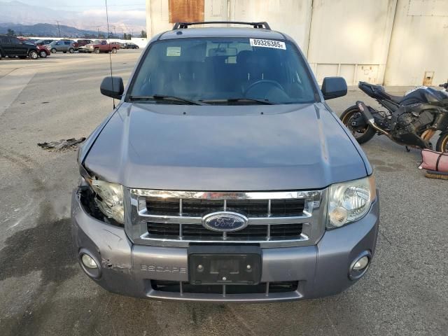 2008 Ford Escape XLT