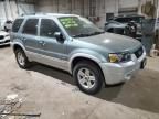 2007 Ford Escape HEV