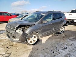 Salvage cars for sale at West Warren, MA auction: 2014 Ford Escape SE