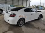 2009 Scion TC