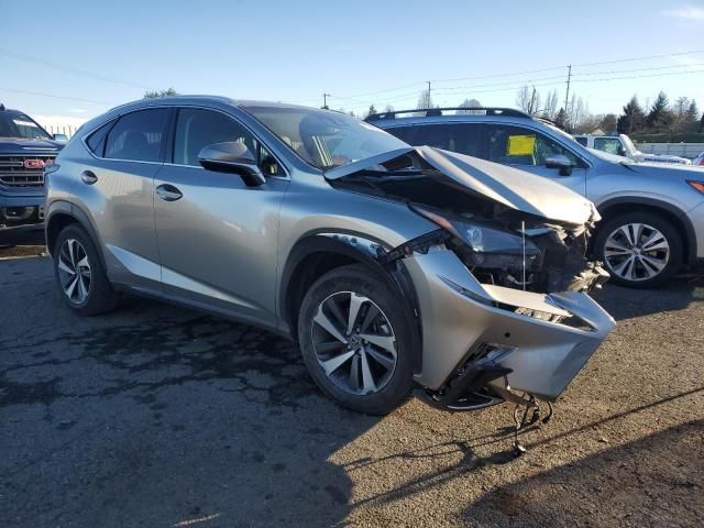 2019 Lexus NX 300H