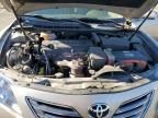 2007 Toyota Camry Hybrid