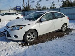 2014 Ford Focus SE en venta en Hillsborough, NJ