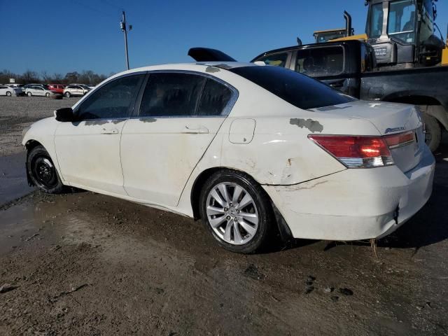 2011 Honda Accord EXL