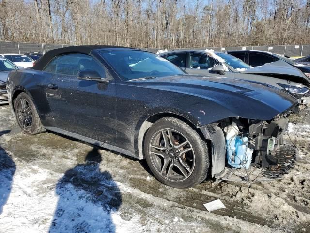 2020 Ford Mustang