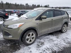 Salvage cars for sale at Windham, ME auction: 2014 Ford Escape SE