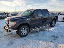 Salvage trucks for sale at Helena, MT auction: 2013 Ford F150 Supercrew