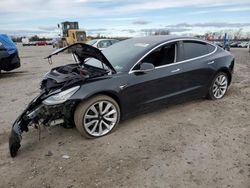 Salvage cars for sale at Fredericksburg, VA auction: 2018 Tesla Model 3