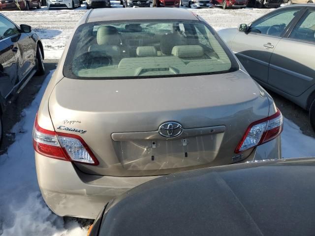 2009 Toyota Camry Hybrid