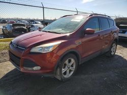 Ford salvage cars for sale: 2014 Ford Escape SE