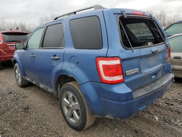 2010 Ford Escape XLT