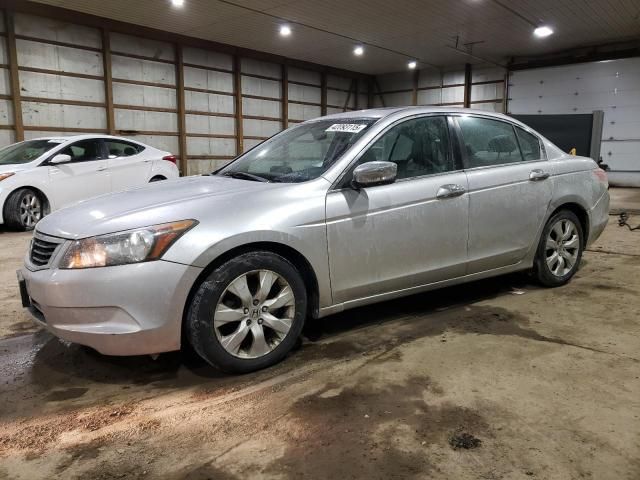 2010 Honda Accord EXL