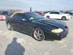 1998 Ford Mustang Cobra