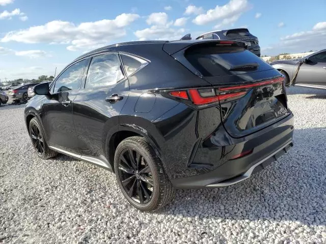 2024 Lexus NX 350 Luxury