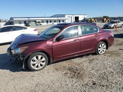 Vehiculos salvage en venta de Copart Lumberton, NC: 2010 Honda Accord EXL