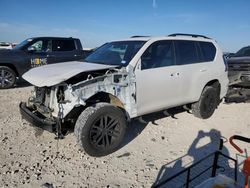 2023 Lexus GX 460 en venta en Temple, TX