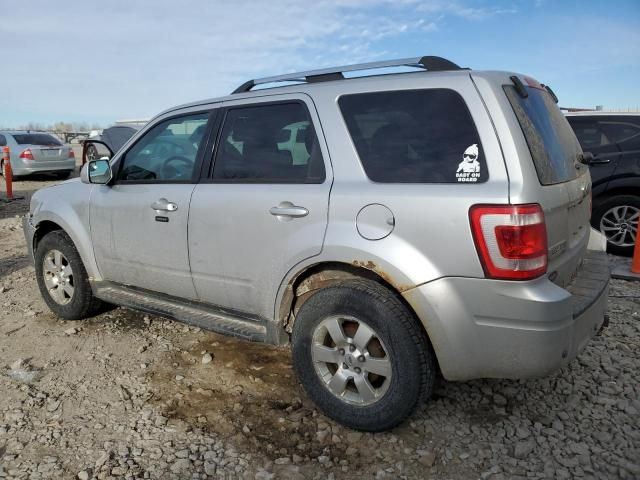 2011 Ford Escape Limited