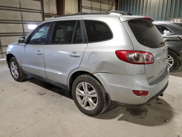 2010 Hyundai Santa FE SE