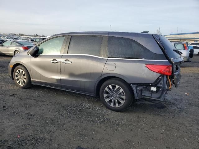 2023 Honda Odyssey EXL